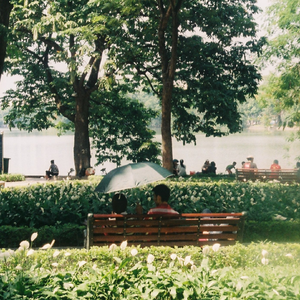 极品人妻3p系列
