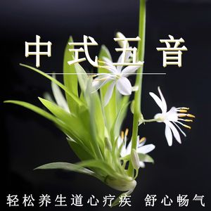 极品人妻3p系列
